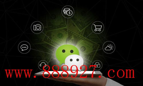 深圳市鹽田區小程序開發團隊公司 深圳軟件開發的先鋒力量